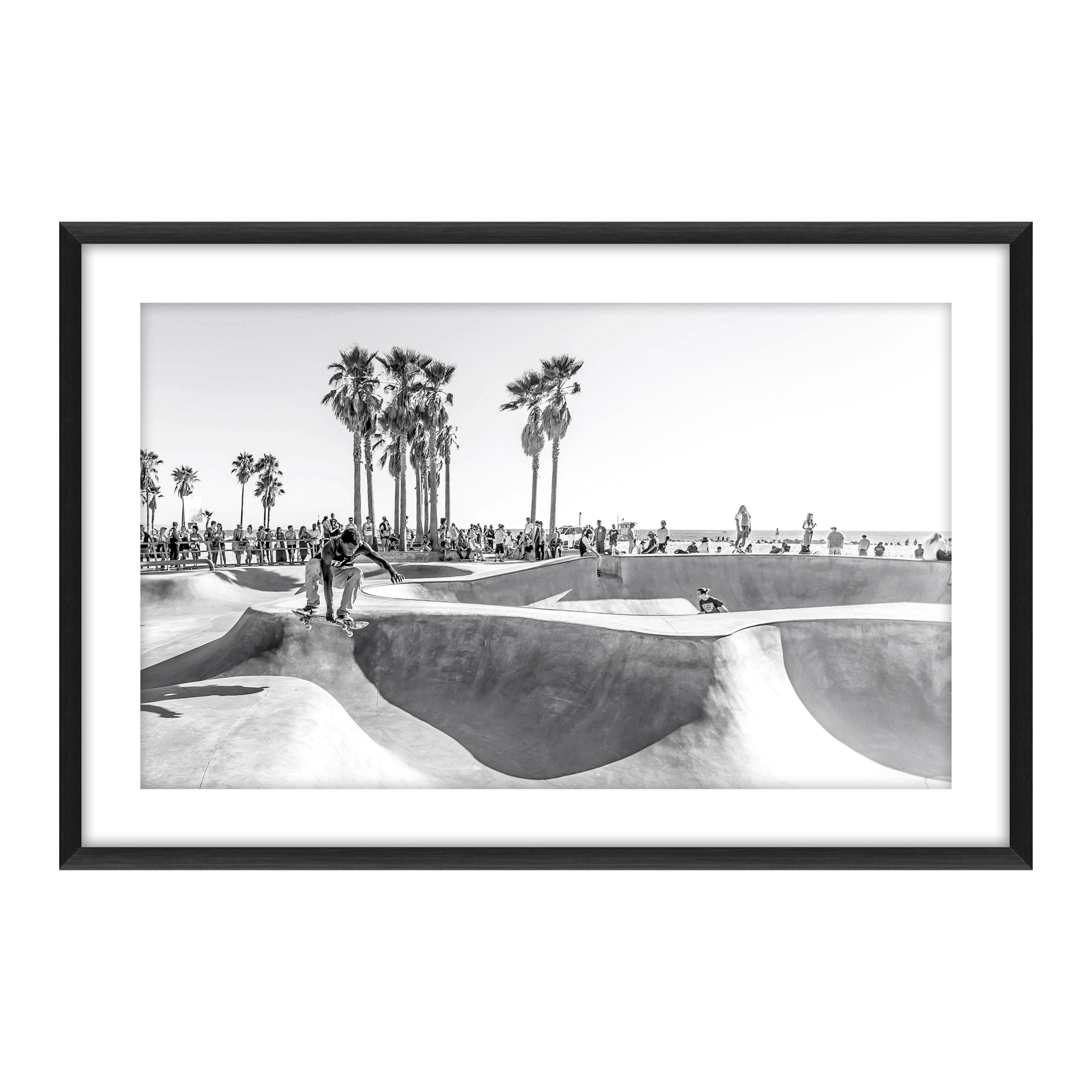 Palm Skate Glass Framed Canvas